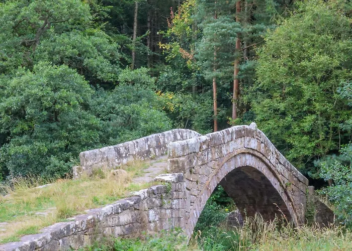 Wayside וויטבי